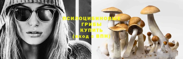 амфетамин Алексин