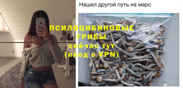 прущая мука Алзамай