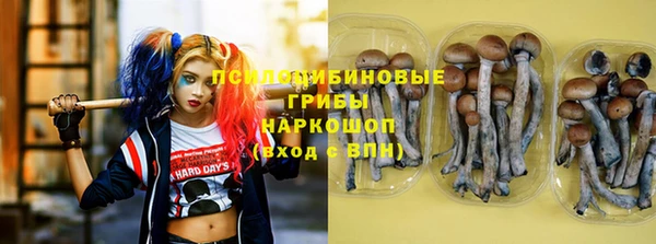 spice Алексеевка