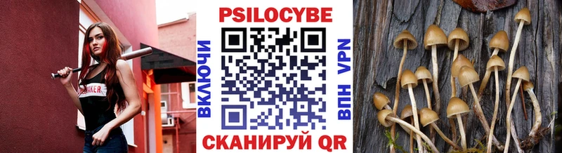 Псилоцибиновые грибы мицелий  хочу наркоту  Андреаполь 